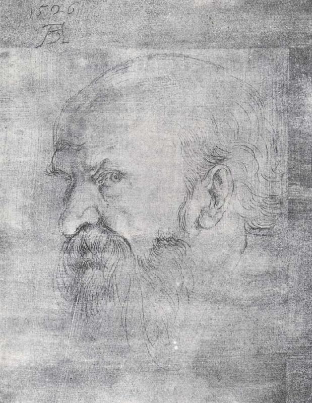 The Head of St.Paul, Albrecht Durer